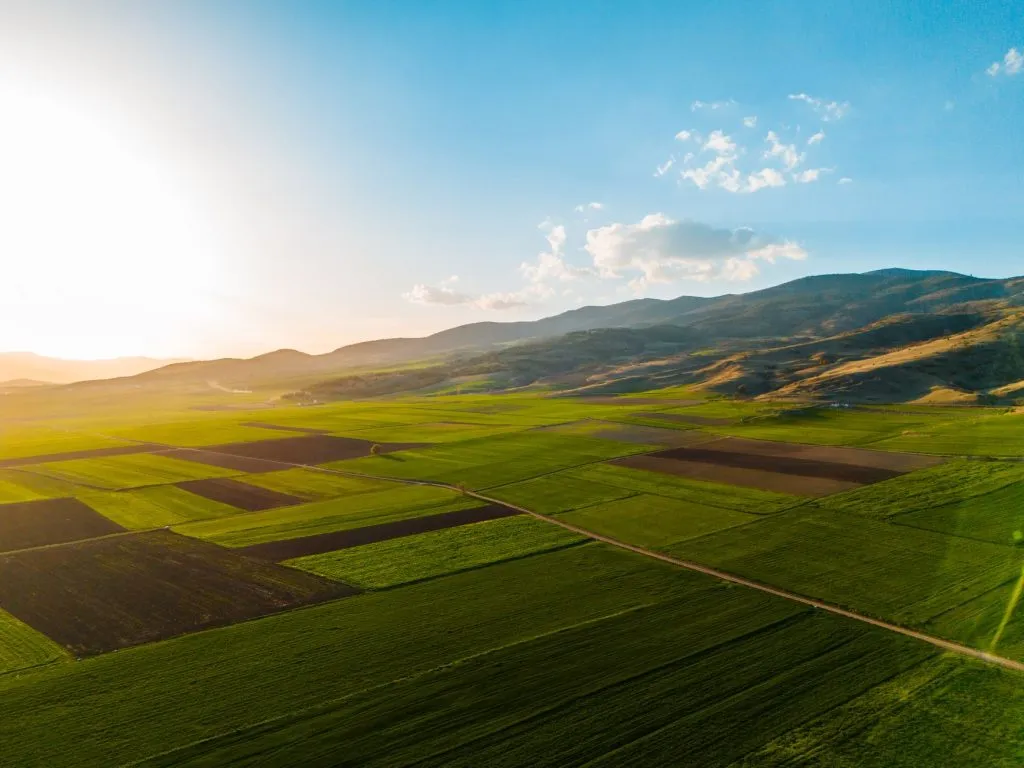Champs agricoles verts au coucher du soleil - Crédit Agricole banque verte