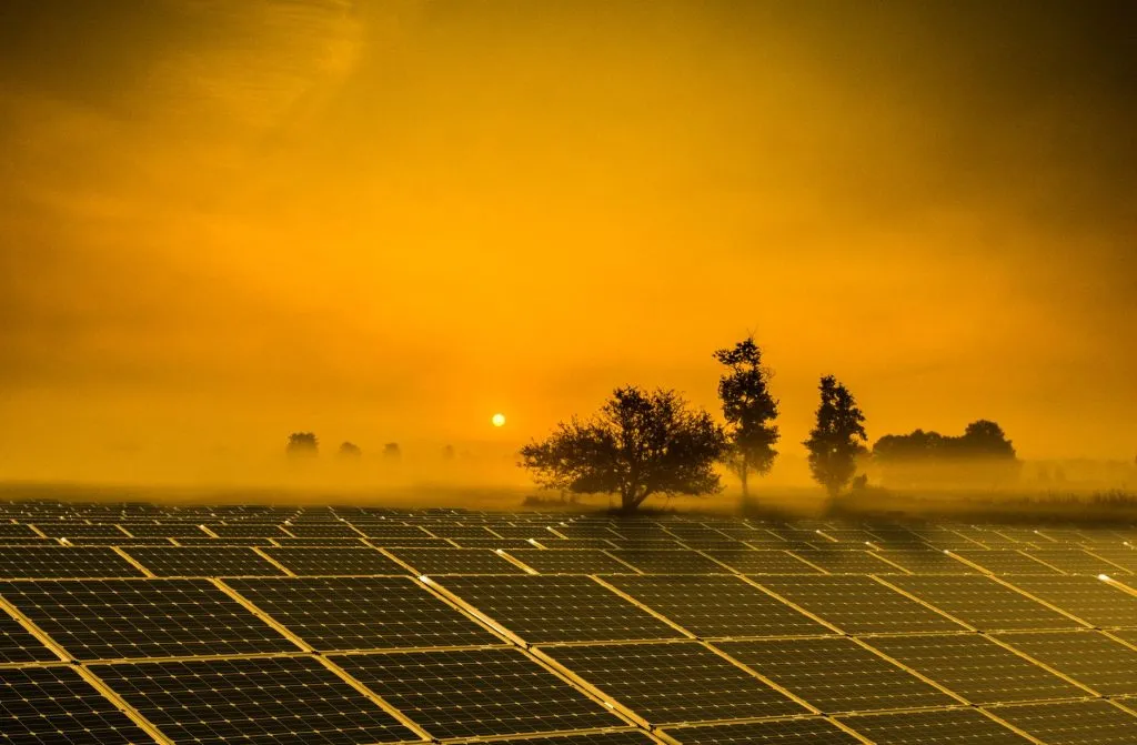 Lever de soleil sur des panneaux solaires, énergie renouvelable Engie