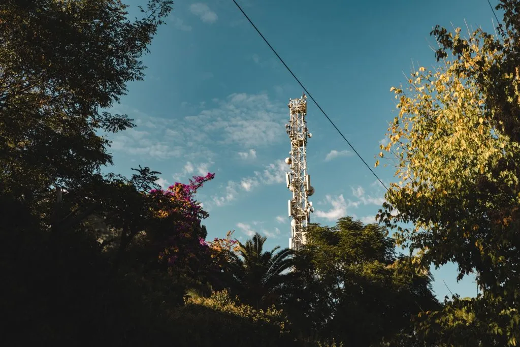 Tour de télécommunications au-dessus des arbres